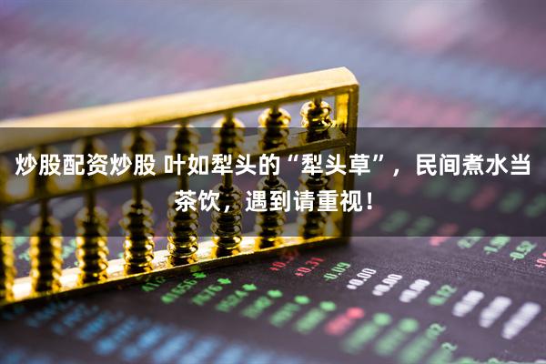炒股配资炒股 叶如犁头的“犁头草”，民间煮水当茶饮，遇到请重视！
